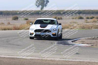 media/Nov-01-2025-PCA Central Coast (Sat) [[5e27ded23e]]/White Group/Grapevine/